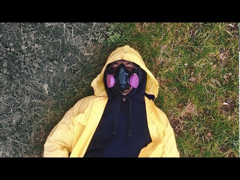 паліндром - зламані