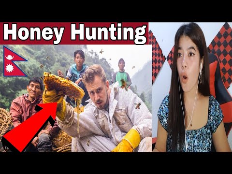Filipino React On Hunting  Nepal's Mad Honey That Makes You Hallucinate-Honey Hunter 🇳🇵