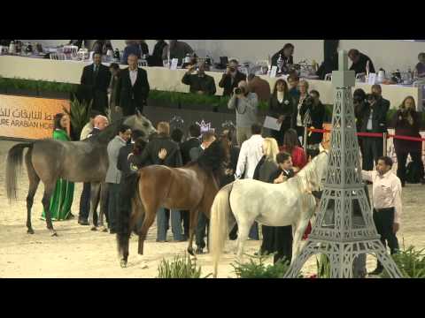 Paris 2013 - Junior Females Section A - PRIX