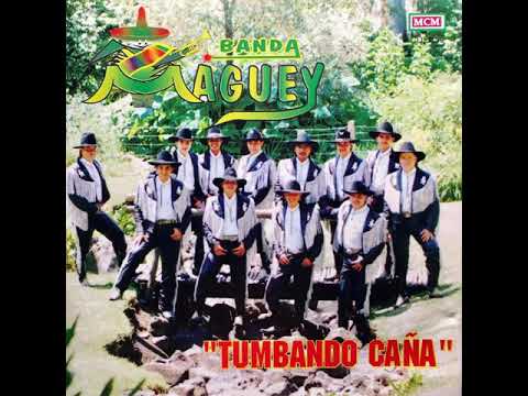 Banda Maguey - el Alacran tumbando caña