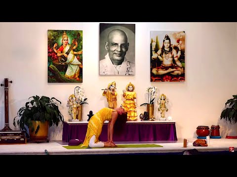 Yin Yogastunde mit Julia 09:15 Uhr 02.09.2020