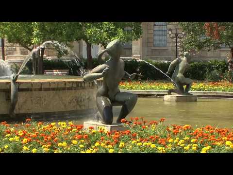 O zi la Ruse - Croazieră pe Dunăre (29 iunie 2019) - Holiday Boutique