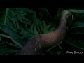 Disney Dinosaur The Attack Sound Effects Only