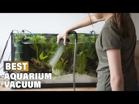 Top 10 Best Aquarium Vacuum On Amazon