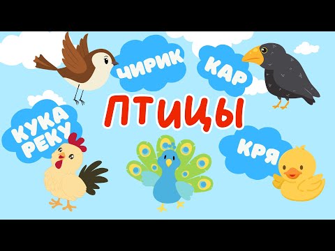 Птицы и их Голоса | Учим слова на русском | Слова для детей | Первые слова