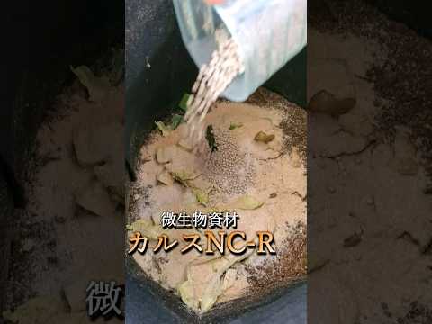 冬に堆肥が湿りすぎるのはなぜですか?原因と解決策！  庭園