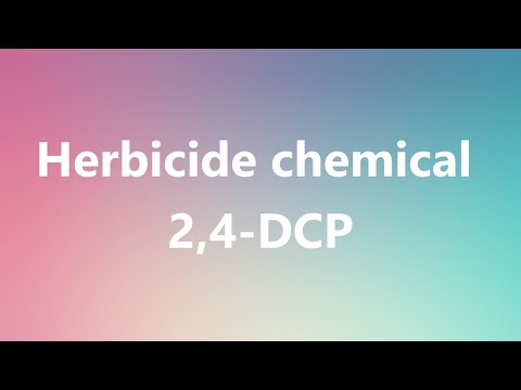 2-4 Dichlorophenol Chemical