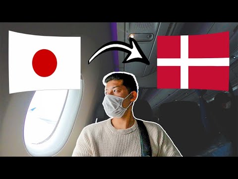 My First SAS!! Japan to Denmark Flight Review