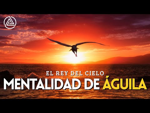 La Mentalidad de Águila - El Mejor Vídeo Motivador