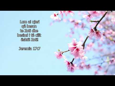 Letra dashurie nga Zoti - 101 - Në çdo aspekt të jetës tënde ki besim tek Unë