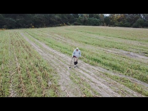 Buscando monedas en el potrero salta argentina