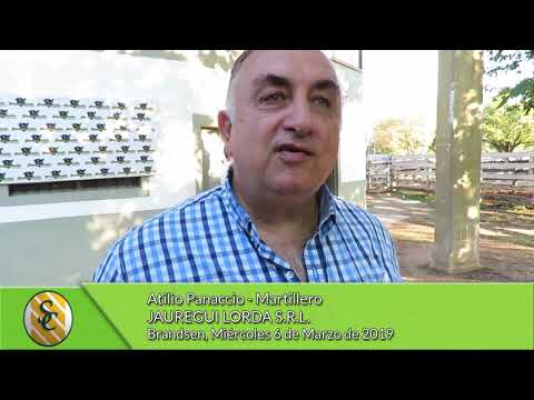 06-03-19 - Atilio Panaccio - Martillero - Jauregui Lorda S.R.L. - Brandsen