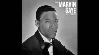 Marvin Gaye - I&#39;ve Grown Accustomed To Her Face