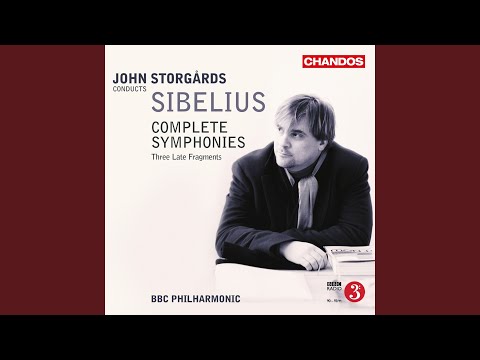 Symphony No. 6 in D Minor, Op. 104: I. Allegro molto moderato