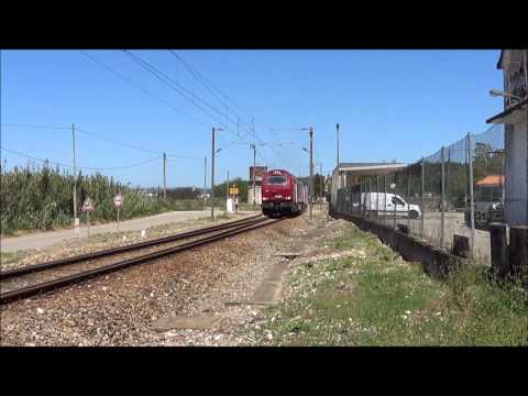 Comboio de Madeira nº 48892 - Linha do Oeste ( Concordância de Verride )