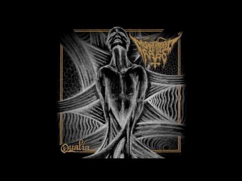 Misanthropic Rage - Qualia (full album)- 2016