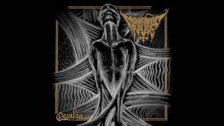 Music video thumbnail preview for Misanthropic Rage - Qualia (full album)- 2016 by Misanthropic Rage