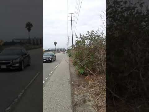 Electronic Arts, haven't seen you E3Expo KURT KELLY VOICE OF HOD, SNL, GOD OF WAR, MAG, DYKE & FATS