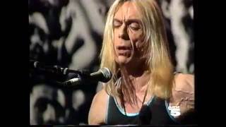 Iggy Pop - To Belong (Live 1996)