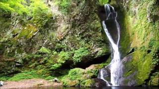 東京都奥多摩町 海沢渓谷 大滝