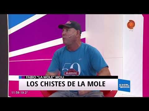► Mole Moli | EL LORO QUE HABLA - chiste 😂