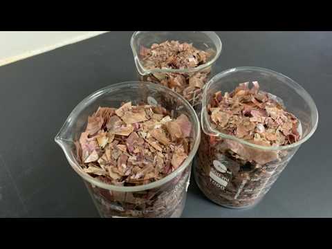 Mohammad Sabran Bin Nazardeen (S47888)