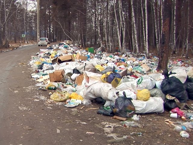 Откуда берется мусор в садоводствах?