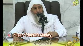 أبو شجاع (47) " زكاة الإبل " نصابها خمس وفيها شاة ـ  الشيخ مصطفى العدوي 29 3 2017 image