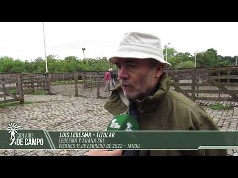Luis Ledesma - remate de Ledesma y Arana - Viernes 11 de febrero de 2022 - Tandil