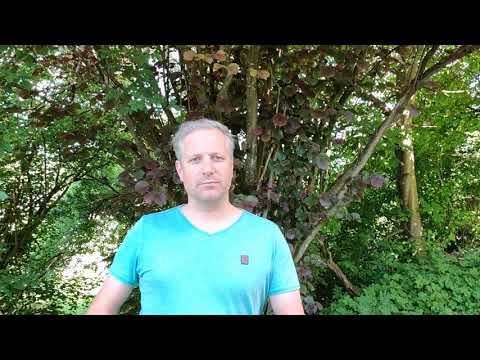 Christi Himmelfahrt oder Vatertag?