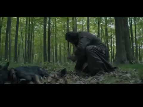 Baba voss saves a dog,See so 4 ep1