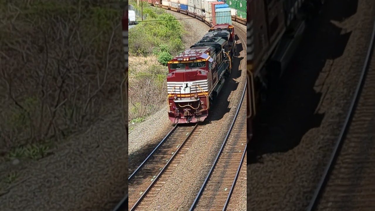 OVERHEAD VIEW OF NS 1230 BIRMINGHAM & 8183 CHICAGO HERITAGE AT ROCKVILLE PA. ON 26X INTERMODAL
