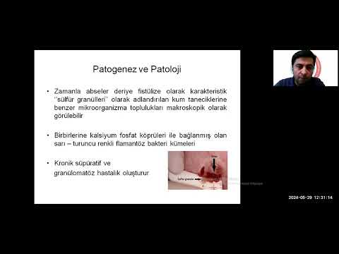 Türkiye EKMUD Doğu Güneydoğu Anadolu Günleri 29 mayis 2024