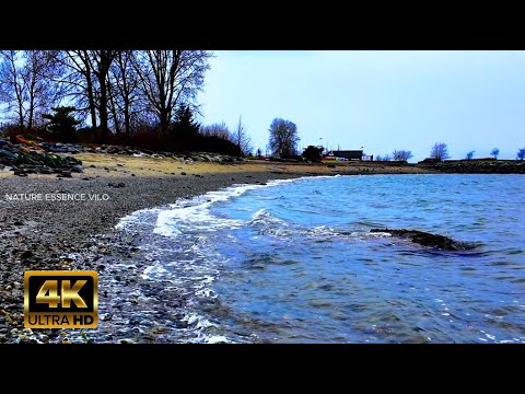 Rhythmic Ocean Waves | Natural Sound for Studying & Working