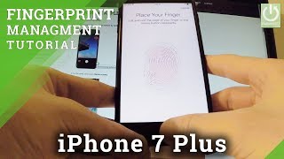 Fingerprint in APPLE iPhone 7 Plus - Set Fingerprint Unlocking