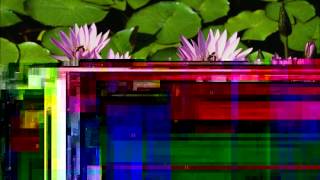 Eight Letters-Robbie Williams-Take The Crown HQ