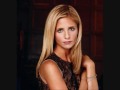 Sarah Michelle Gellar Hot Pics X