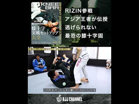 2. クローズドガードからの膝十字（立った時）「グラント・ボグダノフ 膝十字実戦セットアップ大全」#bjj #jiujitsu #格闘技 #mma #www #judo #柔術 #ブラジリアン柔術