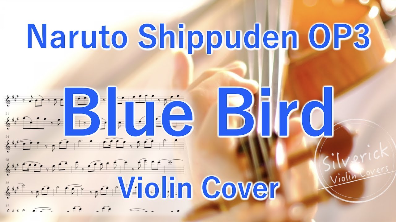 “Blue Bird” Naruto Shippuden OP3  (Violin Cover)