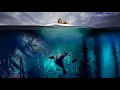 The Blue Planet Blue Planet 2 Soundtrack