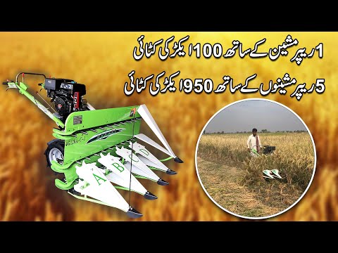 Satisfy Customer feedback | Reaper Machine | 100 Akar harvest one machine | China mini Reaper