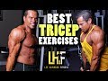 3 Best TRICEP Exercises at the Gym