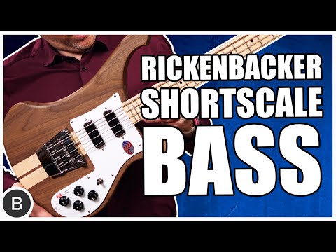 I CAN'T BELIEVE THIS BASS EXISTS !!