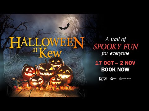 Halloween at Kew 2025 | West London Light Trail | RG Live Light Trail
