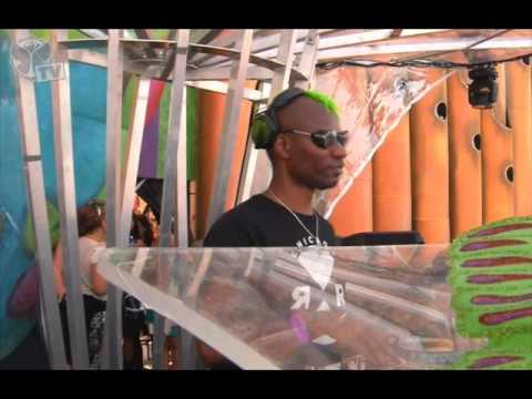 Green Velvet - Live @ Tomorrowland 2013 (Sunday) Dave Clarke Stage