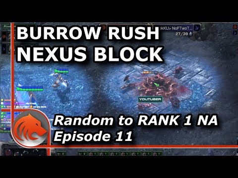 StarCraft 2: One Base Burrow Rush?!