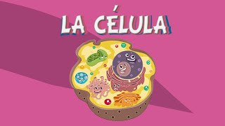 UN VÍDEO PARA ENTENDER MEJOR LA CÉLULA