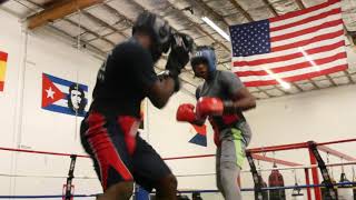 Cuban Boxer Frank Sanchez Sparring Like Its Easy