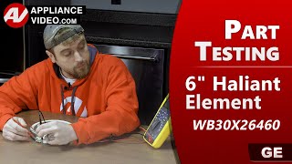 How to Test the Haliant Heating Element