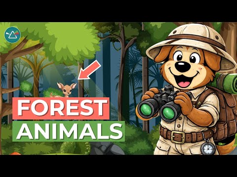 Surprising Forest Animal Facts in Catchy Science Songs
